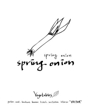 Sebze ve meyve resimler / el çekilmiş gıda maddeleri - vektör