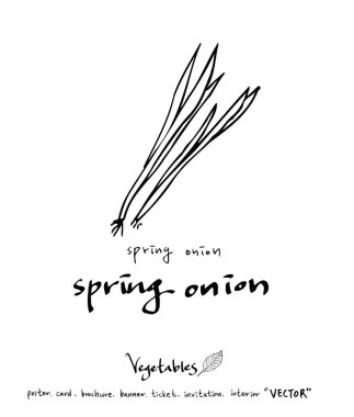 Sebze ve meyve resimler / el çekilmiş gıda maddeleri - vektör