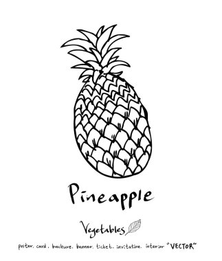 Sebze ve meyve resimler / el çekilmiş gıda maddeleri - vektör