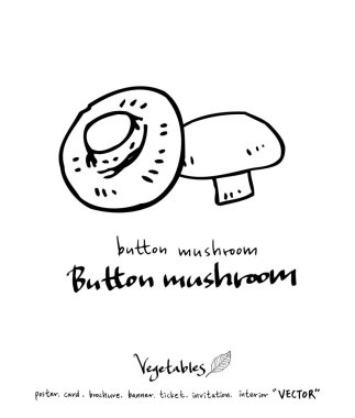 Sebze ve meyve resimler / el çekilmiş gıda maddeleri - vektör