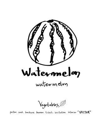 Sebze ve meyve resimler / el çekilmiş gıda maddeleri - vektör