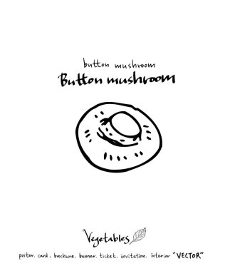 Sebze ve meyve resimler / el çekilmiş gıda maddeleri - vektör