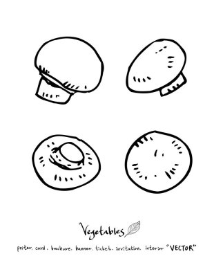 Sebze ve meyve resimler / el çekilmiş gıda maddeleri - vektör