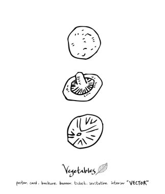 Sebze ve meyve resimler / el çekilmiş gıda maddeleri - vektör