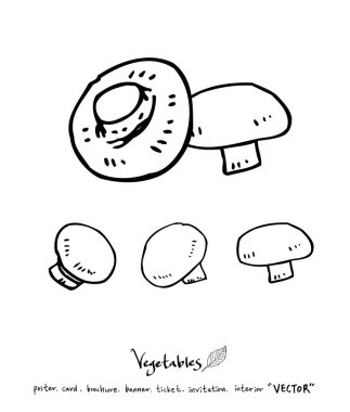 Sebze ve meyve resimler / el çekilmiş gıda maddeleri - vektör