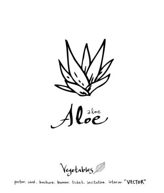 Sebze ve meyve resimler / el çekilmiş gıda maddeleri - vektör