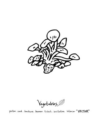 Sebze ve meyve resimler / el çekilmiş gıda maddeleri - vektör