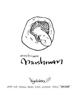 Sebze ve meyve resimler / el çekilmiş gıda maddeleri - vektör