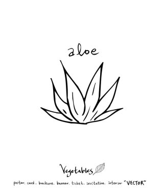 Sebze ve meyve resimler / el çekilmiş gıda maddeleri - vektör