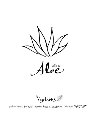 Sebze ve meyve resimler / el çekilmiş gıda maddeleri - vektör