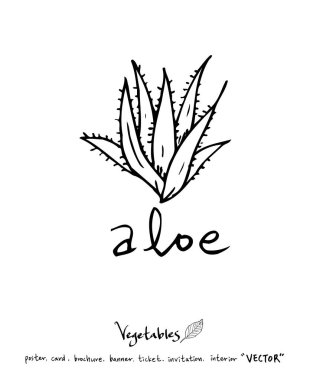 Sebze ve meyve resimler / el çekilmiş gıda maddeleri - vektör