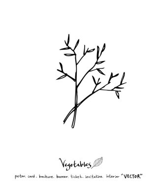 Sebze ve meyve resimler / el çekilmiş gıda maddeleri - vektör