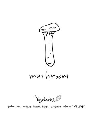 Sebze ve meyve resimler / el çekilmiş gıda maddeleri - vektör