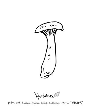 Sebze ve meyve resimler / el çekilmiş gıda maddeleri - vektör