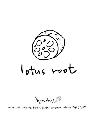 Sebze ve meyve resimler / el çekilmiş gıda maddeleri - vektör