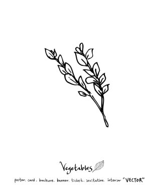 Sebze ve meyve resimler / el çekilmiş gıda maddeleri - vektör