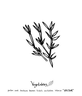 Sebze ve meyve resimler / el çekilmiş gıda maddeleri - vektör