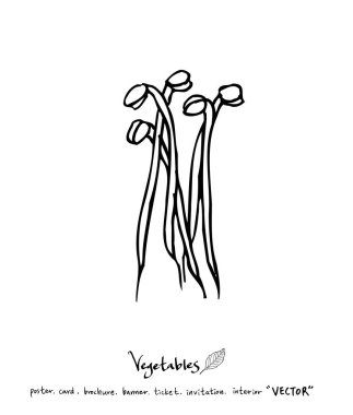 Sebze ve meyve resimler / el çekilmiş gıda maddeleri - vektör