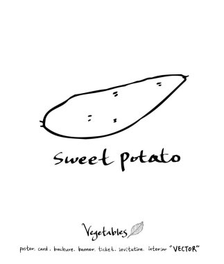 Sebze ve meyve resimler / el çekilmiş gıda maddeleri - vektör