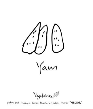 Sebze ve meyve resimler / el çekilmiş gıda maddeleri - vektör