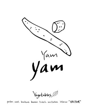 Sebze ve meyve resimler / el çekilmiş gıda maddeleri - vektör