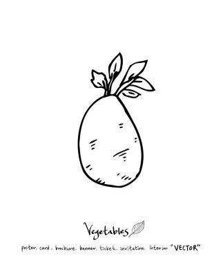 Sebze ve meyve resimler / el çekilmiş gıda maddeleri - vektör