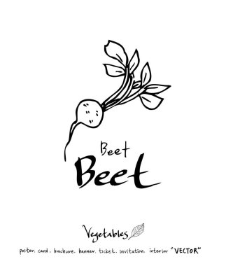 Sebze ve meyve resimler / el çekilmiş gıda maddeleri - vektör