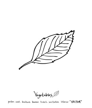 Sebze ve meyve resimler / el çekilmiş gıda maddeleri - vektör