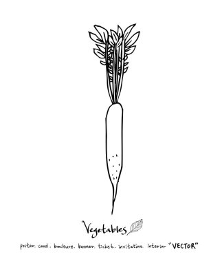 Sebze ve meyve resimler / el çekilmiş gıda maddeleri - vektör