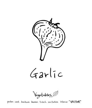 Sebze ve meyve resimler / el çekilmiş gıda maddeleri - vektör