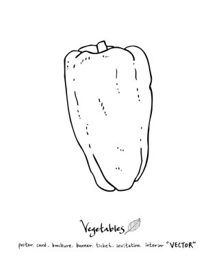 Sebze ve meyve resimler / el çekilmiş gıda maddeleri - vektör