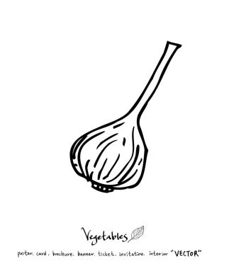 Sebze ve meyve resimler / el çekilmiş gıda maddeleri - vektör
