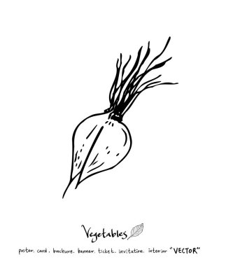 Sebze ve meyve resimler / el çekilmiş gıda maddeleri - vektör