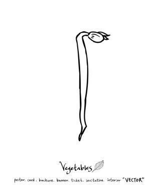 Sebze ve meyve resimler / el çekilmiş gıda maddeleri - vektör