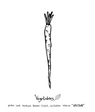 Sebze ve meyve resimler / el çekilmiş gıda maddeleri - vektör