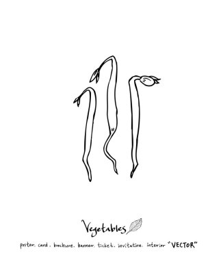 Sebze ve meyve resimler / el çekilmiş gıda maddeleri - vektör