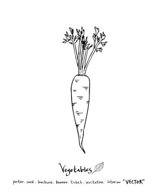 Sebze ve meyve resimler / el çekilmiş gıda maddeleri - vektör