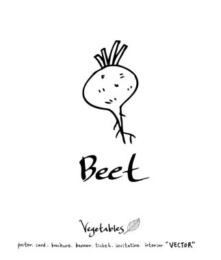 Sebze ve meyve resimler / el çekilmiş gıda maddeleri - vektör