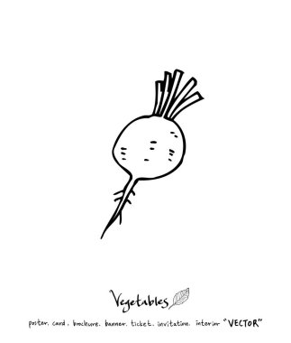 Sebze ve meyve resimler / el çekilmiş gıda maddeleri - vektör