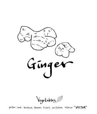 Sebze ve meyve resimler / el çekilmiş gıda maddeleri - vektör