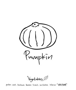 Sebze ve meyve resimler / el çekilmiş gıda maddeleri - vektör