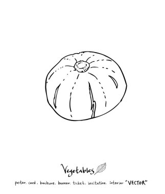 Sebze ve meyve resimler / el çekilmiş gıda maddeleri - vektör