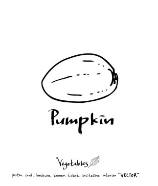 Sebze ve meyve resimler / el çekilmiş gıda maddeleri - vektör