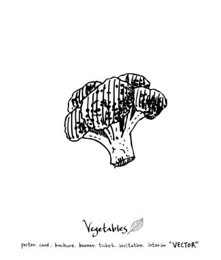 Sebze ve meyve resimler / el çekilmiş gıda maddeleri - vektör