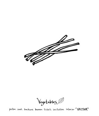 Sebze ve meyve resimler / el çekilmiş gıda maddeleri - vektör