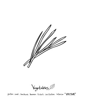 Sebze ve meyve resimler / el çekilmiş gıda maddeleri - vektör