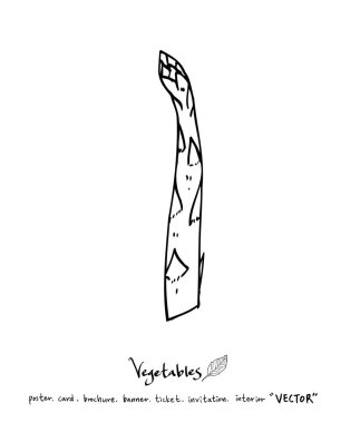 Sebze ve meyve resimler / el çekilmiş gıda maddeleri - vektör