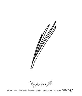 Sebze ve meyve resimler / el çekilmiş gıda maddeleri - vektör