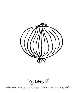 Sebze ve meyve resimler / el çekilmiş gıda maddeleri - vektör