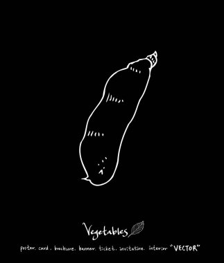 Sebze ve meyve resimler / el çekilmiş gıda maddeleri - vektör